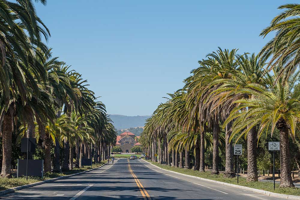 Palo Alto